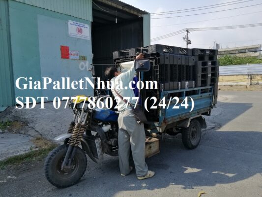 bán pallet nhựa cốc