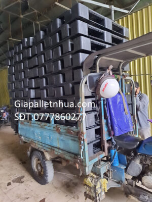 pallet nhựa cũ