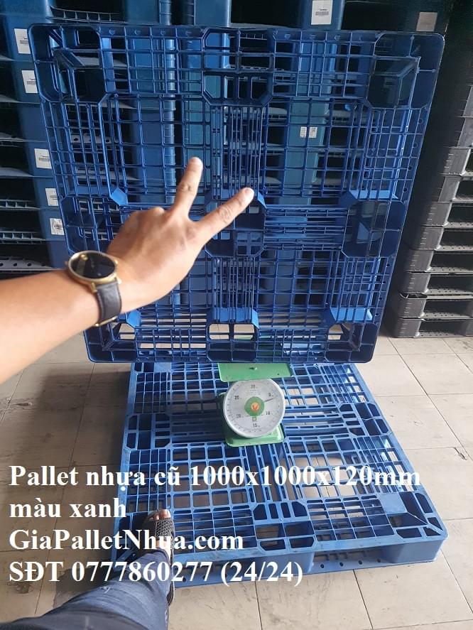 pallet nhựa mới